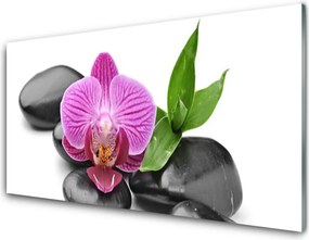 Szkło do Kuchni na Ścianę Symbol Spokoju: Kamienie i Kwiat