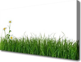 Obraz canvas na ścianę Delikatność Polnej Trawy