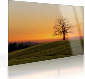 Obraz na szkle - zachód słońca na łące (70x50 cm)