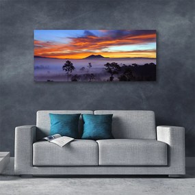 Fotoobraz na płótnie Las we Mglisty Poranek