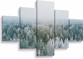 Obraz - Ośnieżone szczyty lasów (125x70 cm)