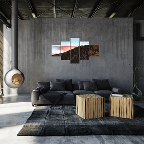 Obraz rudzików nad wzgórzem (125x70 cm)