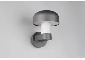 Zewnętrzna lampa ścienna (wysokość 24,5 cm) Fraser – Trio