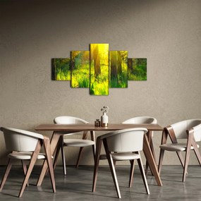 Obraz - Wiosenne przebudzenie lasu (125x70 cm)