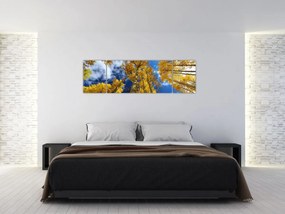 Obraz - Aspen (170x50 cm)