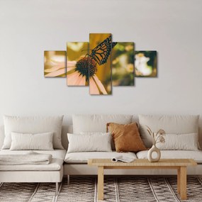 Obraz motyla na kwiatku (125x70 cm)