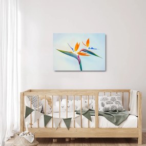 Obraz na szkle kwiatu Strelicji (70x50 cm)
