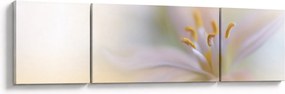 Obraz - Delikatny kwiat (170x50 cm)