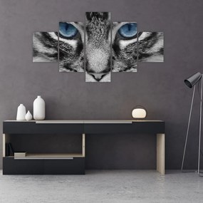 Obraz kota (125x70 cm)