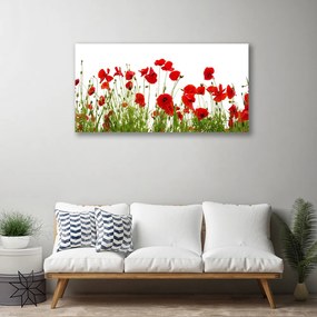 Obraz canvas na ścianę Czerwone Maki w Letnim Polu