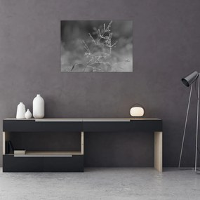 Obraz - Wiejska łąka (70x50 cm)