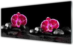 Panel Szklany do Kuchni Biała Orchidea W Zbliżeniu