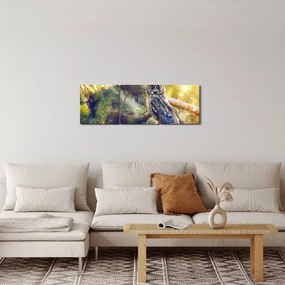 Obraz sowy na drzewie (z zegarem) (90x30 cm)