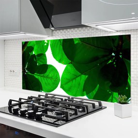 Panel Kuchenny Stylowy Motyw Botaniczny