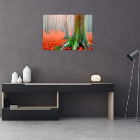 Obraz na szkle - drzewa (70x50 cm)