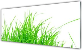 Panel Szklany do Kuchni Detale Zielonej Natury