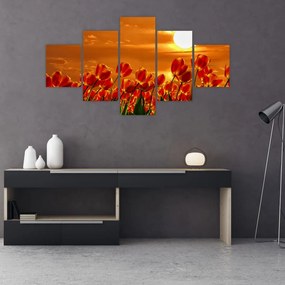 Obraz kwitnącego pola z tulipanami (125x70 cm)