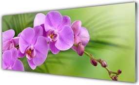 Panel Szklany Szlachetna Elegancja Storczyka