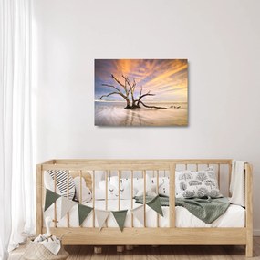 Obraz na szkle drzewa w oceanie (70x50 cm)