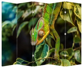 Parawan - Kameleon (210x170 cm)