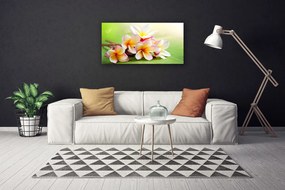 Obraz Canvas Kwiaty Roślina Natura
