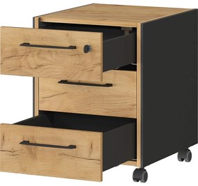 Antracytowo-naturalna szafka w dekorze dębu 42x54x49 cm Podium – Germania