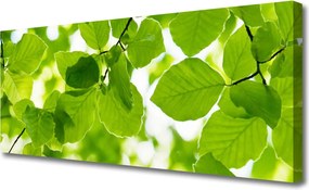 Obraz na płótnie Detal Egzotycznego Liścia