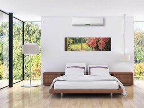Obraz - Kot na oknie (170x50 cm)
