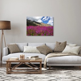 Obraz na szkle scenerii łąki górskiej (70x50 cm)