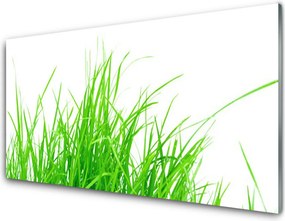 Panel Szklany do Kuchni Detale Zielonej Natury