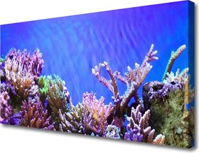 Obraz canvas Podwodny Świat Rafy Koralowej