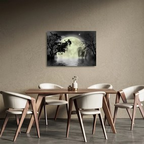 Obraz na szkle - Księżyc w pełni nad powierzchnią, wersja czarno - biała (70x50 cm)