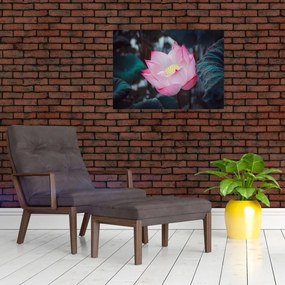 Obraz różowego kwiatu (70x50 cm)