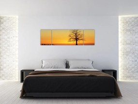 Obraz drzewa na polu (170x50 cm)