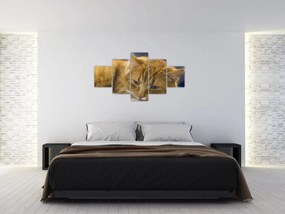 Obraz kota (125x70 cm)