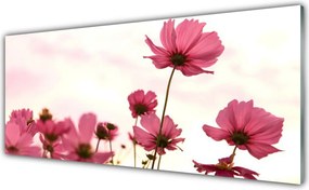 Szkło do Kuchni na Ścianę Pastelowy Akcent Roślinny