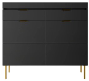 Komoda dwudrzwiowa Sentia 105 z dwoma szufladami - czarny / złoty