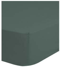 Zielone/szare bawełniane prześcieradło z gumką 180x200 cm – Good Morning