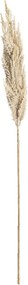 Gałązka Trawy Pampasowej 90cm cream