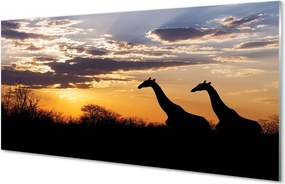 Szklany Panel Żyrafy w Otoczeniu Drzew
