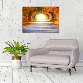 Obraz - Brama wykonana z koron drzew (70x50 cm)