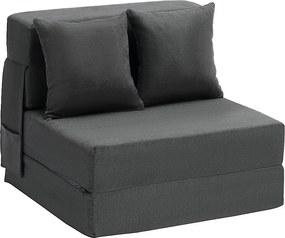 Lęgiwany Kanapé-Łóżko SucceBuy, 3 w 1 Lęgiwany z 2 Poduszkami, Szary Ciemny, Jednoosobowy