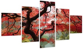 Obraz czerwonego klonu japońskiego, Portland, Oregon (125x70 cm)