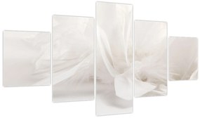 Obraz - Pióro (125x70 cm)
