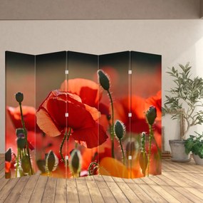 Parawan - Maki (210x170 cm)