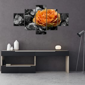 Obraz kwiatu (125x70 cm)