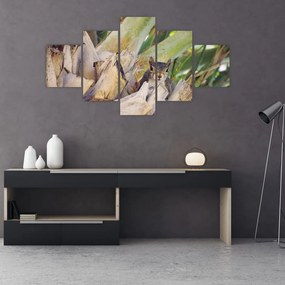 Obraz wiewiórki na drzewie (125x70 cm)