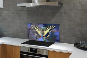 Panel szklany do Kuchni Chwila Odpoczynku Motyla