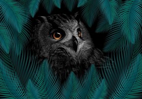 Fototapeta - Sowa (196x136 cm)