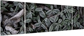 Obraz - Zamrożone rośliny (170x50 cm)